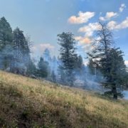 Sawtelle Peak fire