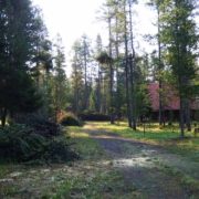 Trees cut and stacked into final slash piles